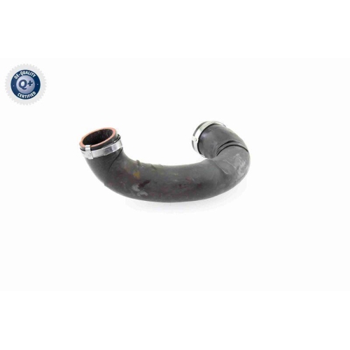 VAICO Ladeluftschlauch Q+, Erstausrüsterqualität