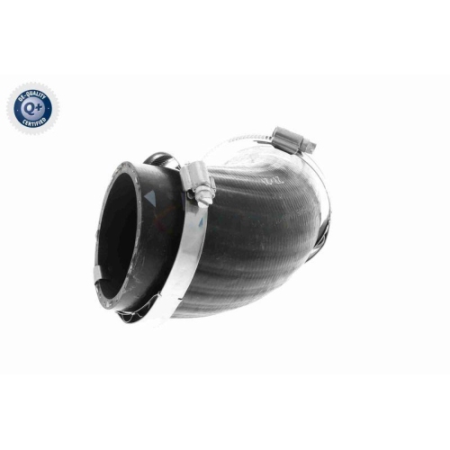 VAICO Ladeluftschlauch Q+, Erstausrüsterqualität V10-5405