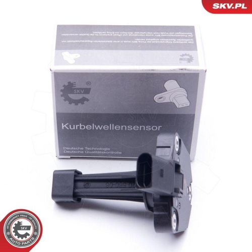 ESEN SKV Sensor, Motor&ouml;lstand 17SKV378