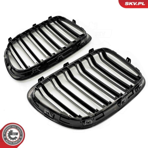 ESEN SKV Kühlergitter