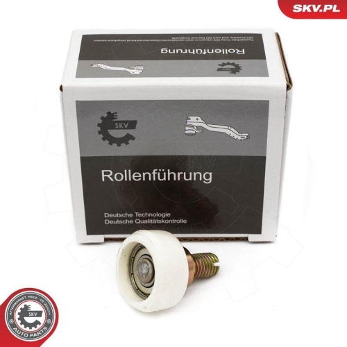 ESEN SKV Rollenf&uuml;hrung, Schiebet&uuml;r 97SKV111