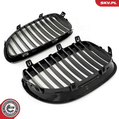 ESEN SKV Kühlergitter