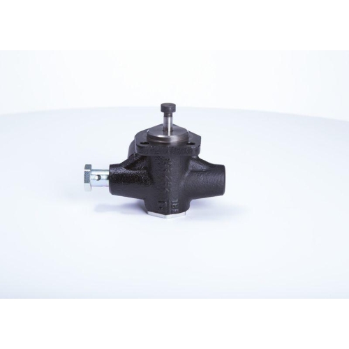 BOSCH Kraftstoffpumpe 0 440 003 243