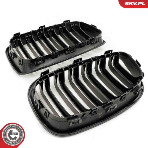 ESEN SKV Kühlergitter