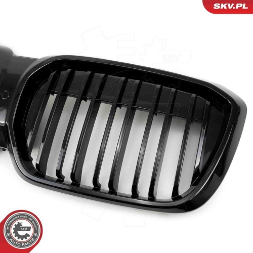 ESEN SKV Kühlergitter