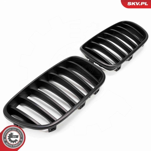 ESEN SKV Kühlergitter