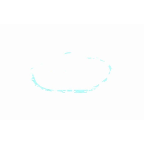 VAICO Dichtung, Ölwanne-Automatikgetriebe Original VAICO Qualität V10-2537