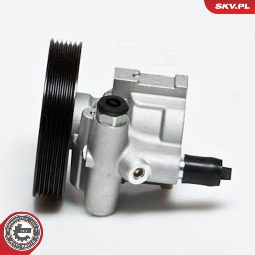 ESEN SKV Hydraulikpumpe, Lenkung 10SKV168