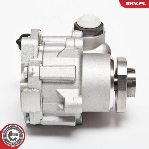 ESEN SKV Hydraulikpumpe, Lenkung 10SKV018