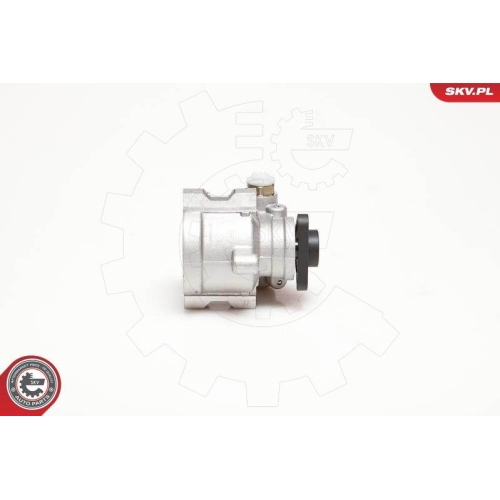 ESEN SKV Hydraulikpumpe, Lenkung 10SKV053