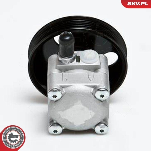 ESEN SKV Hydraulikpumpe, Lenkung 10SKV027