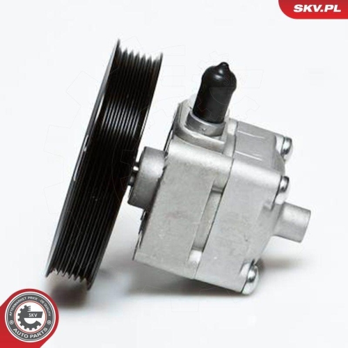 ESEN SKV Hydraulikpumpe, Lenkung 10SKV028