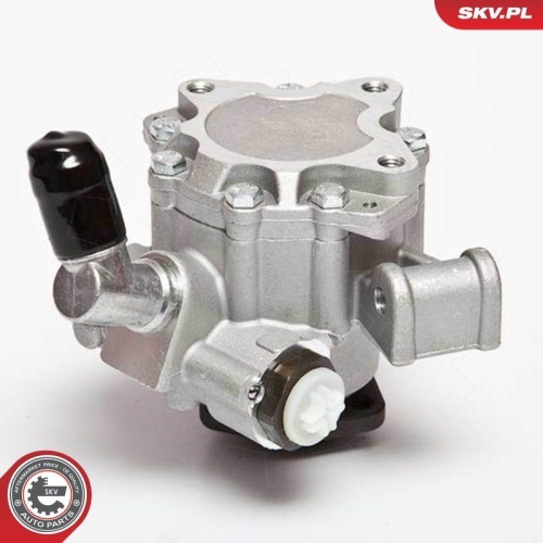ESEN SKV Hydraulikpumpe, Lenkung 10SKV044