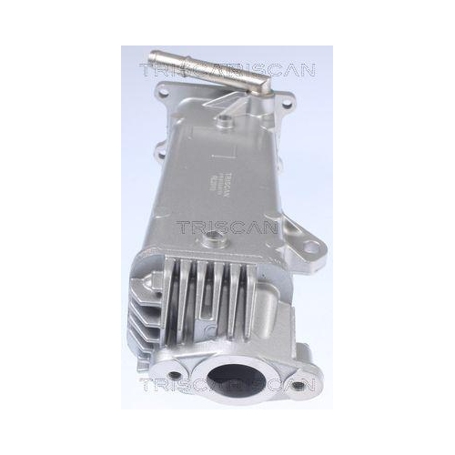 TRISCAN K&uuml;hler, Abgasr&uuml;ckf&uuml;hrung 8813 27104