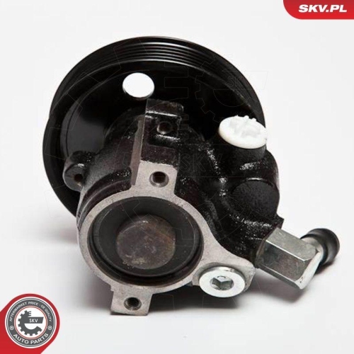 ESEN SKV Hydraulikpumpe, Lenkung 10SKV066