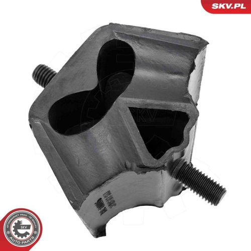 ESEN SKV Lagerung, Motor