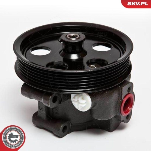 ESEN SKV Hydraulikpumpe, Lenkung 10SKV067