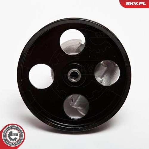 ESEN SKV Hydraulikpumpe, Lenkung 10SKV069