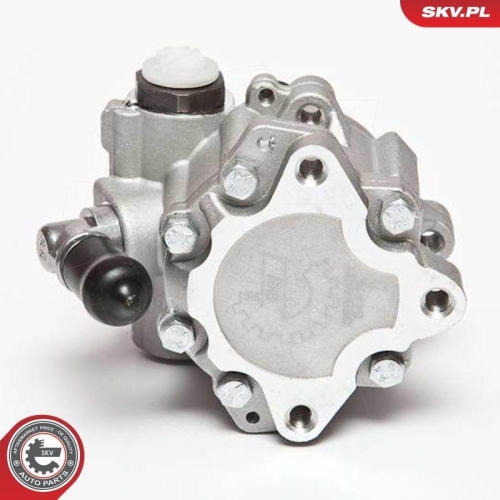 ESEN SKV Hydraulikpumpe, Lenkung 10SKV072