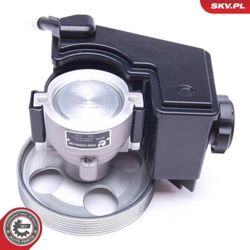 ESEN SKV Hydraulikpumpe, Lenkung 10SKV079