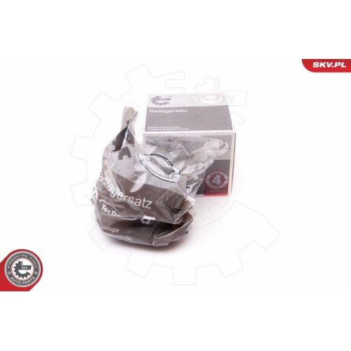 ESEN SKV Radlagersatz 29SKV120