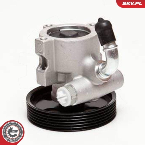 ESEN SKV Hydraulikpumpe, Lenkung 10SKV085