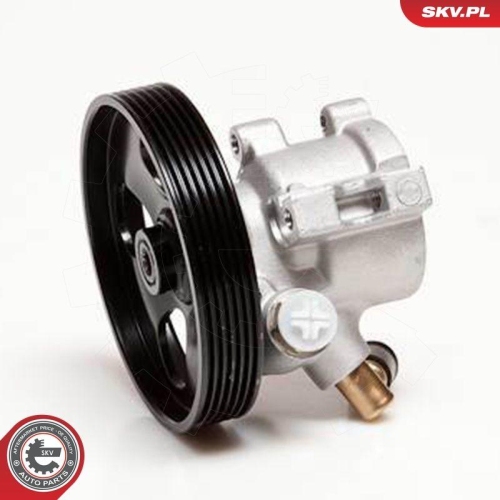 ESEN SKV Hydraulikpumpe, Lenkung 10SKV086