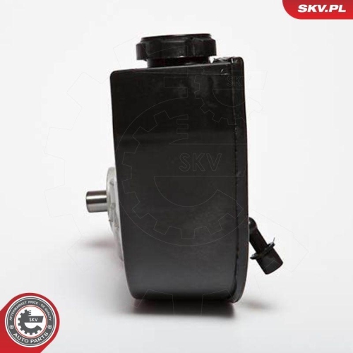 ESEN SKV Hydraulikpumpe, Lenkung 10SKV090
