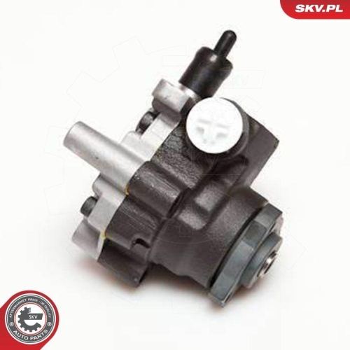 ESEN SKV Hydraulikpumpe, Lenkung 10SKV094