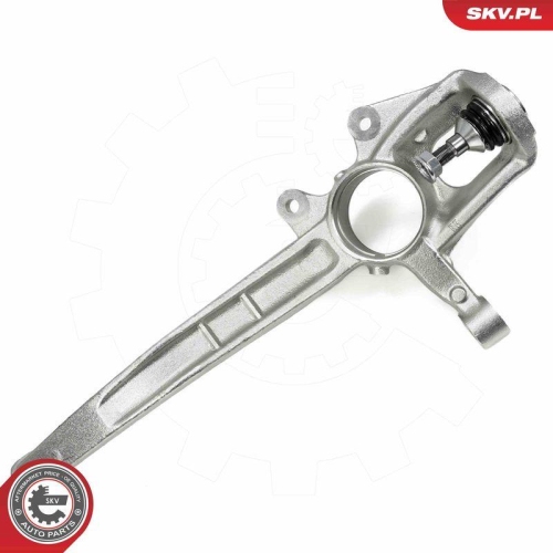 ESEN SKV Achsschenkel, Radaufhängung