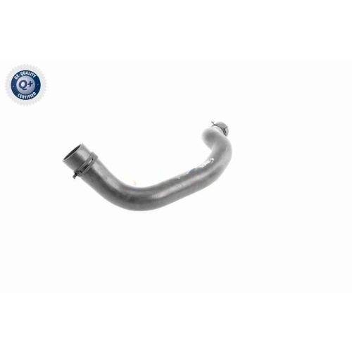 VAICO K&uuml;hlerschlauch Q+, Erstausr&uuml;sterqualit&auml;t V20-3244