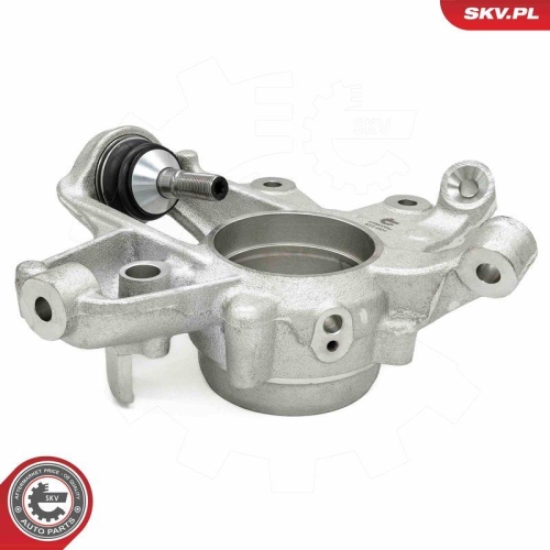 ESEN SKV Achsschenkel, Radaufhängung