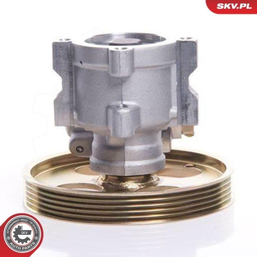 ESEN SKV Hydraulikpumpe, Lenkung 10SKV119