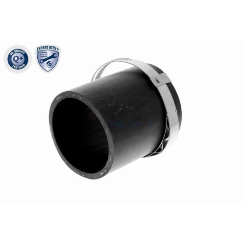 VAICO Ladeluftschlauch EXPERT KITS + V10-3780