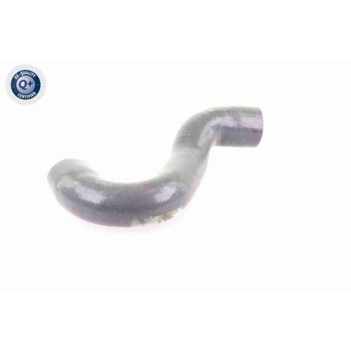 VAICO Ladeluftschlauch Q+, Erstausrüsterqualität V10-3784