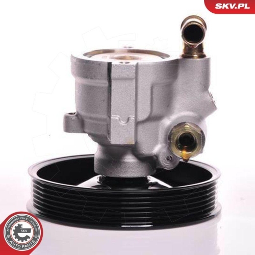 ESEN SKV Hydraulikpumpe, Lenkung 10SKV164