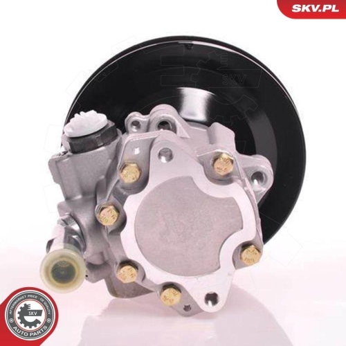 ESEN SKV Hydraulikpumpe, Lenkung 10SKV169