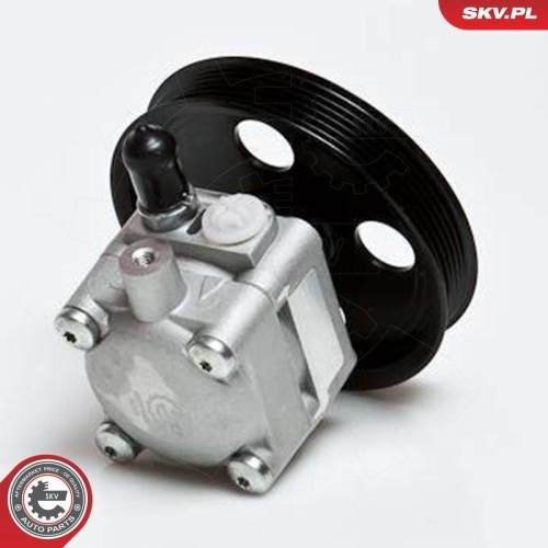 ESEN SKV Hydraulikpumpe, Lenkung 10SKV176