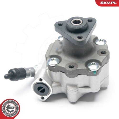 ESEN SKV Hydraulikpumpe, Lenkung 10SKV187