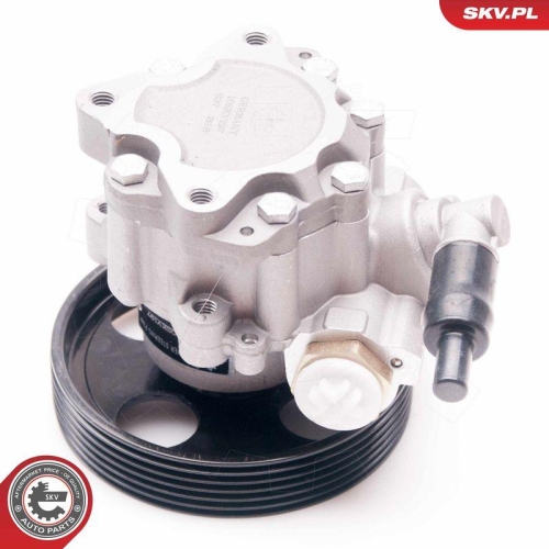ESEN SKV Hydraulikpumpe, Lenkung 10SKV197