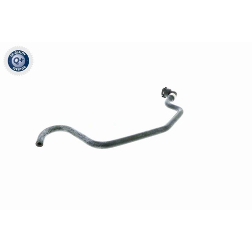 VAICO K&uuml;hlerschlauch Q+, Erstausr&uuml;sterqualit&auml;t V48-0231