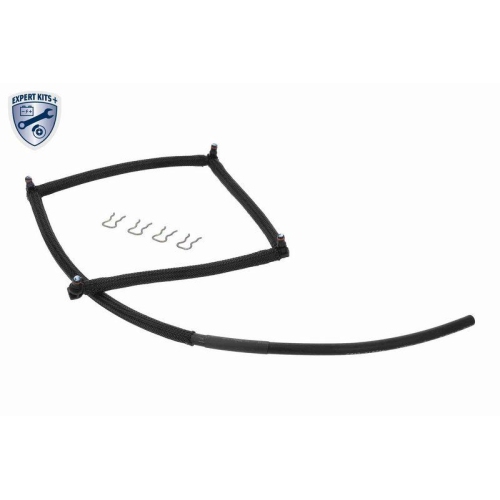 VAICO Schlauch, Leckkraftstoff EXPERT KITS + V22-0809