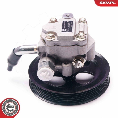 ESEN SKV Hydraulikpumpe, Lenkung 10SKV216
