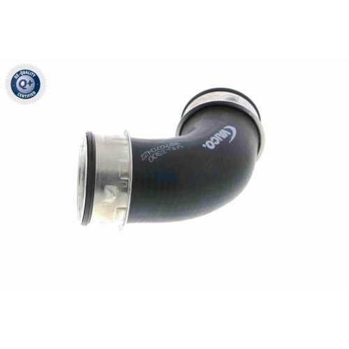 VAICO Ladeluftschlauch Q+, Erstausrüsterqualität V10-3800