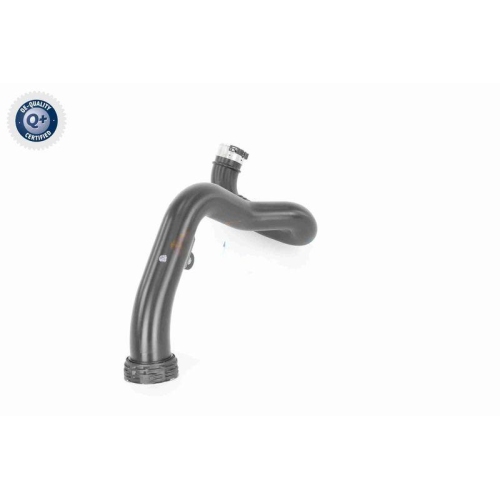 VAICO Ladeluftschlauch Q+, Erstausrüsterqualität V40-2262