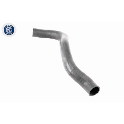 VAICO Ladeluftschlauch Q+, Erstausr&uuml;sterqualit&auml;t V42-0610