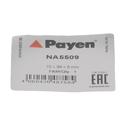 PAYEN Wellendichtring, Kurbelwelle NA5509