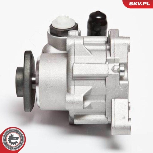 ESEN SKV Hydraulikpumpe, Lenkung 10SKV043
