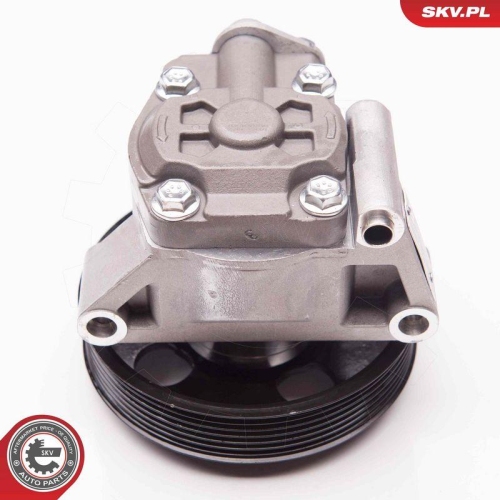 ESEN SKV Hydraulikpumpe, Lenkung 10SKV238