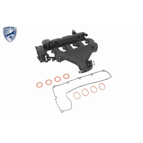 VAICO Zylinderkopfhaube EXPERT KITS + V42-1046